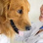 VETERINARIA ZOO HOGAR MASCOTAS