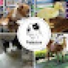 Veterinaria Palacios