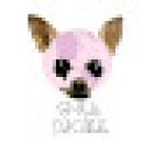 Veterinaria El Mundo del Chihuahua