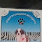 Clinica Veterinaria Beethoven