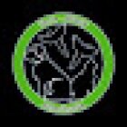 Veterinaria Terry - Black