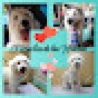 El Rincón De Las Huellas