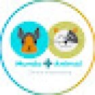 Mundo + Animal Clínica Veterinaria