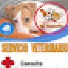 Estetica y Veterinaria Mi Mascota