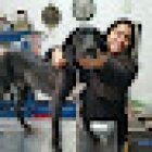 Consultorio Veterinario