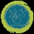 Acupuntura Veterinaria México