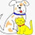 Veterinaria -Servicios Veterinarios Integrales-