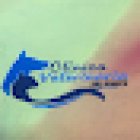 Clinica Veterinaria Del Sureste