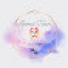 Spa canino y veterinaria