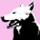 Veterinaria y Perruqueria Mishka