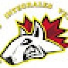 Servicio Integral veterinario