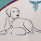 Centro veterinario Dr. Mascota