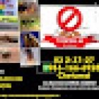 Fumigaciones, Sanitizacion y Desinfecciones Chetumal T control de plagas Chetumal