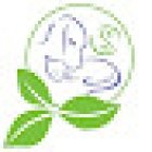 Clinic Veterinary Acupuncture and Homeopathy