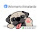 Veterinaria Animalandia