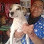 Centro Veterinario PATITAS PELUDAS