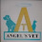 Angel's Vet