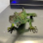 HAPPY ANIMALS VETERINARY