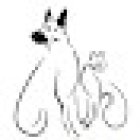 Consultorio Veterinario Guardianes de la Salud