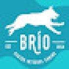Brío