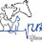 Uruz clínica veterinaria