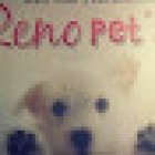 Clínica Veterinaria Reno Pet’s