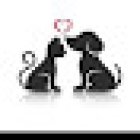 Black Sheep Veterinary office