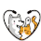 Todo Para Perros Y Gatos