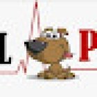 Veterinary Pet Animal