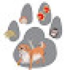 Veterinaria y Acuario ChimAnimal's