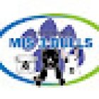 Veterinaria Mis 3 Bulls