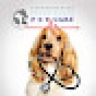 CENTRO MEDICO VETERINARIO 