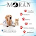 CANINE VETERINARY CLINIC AND AESTHETIC 