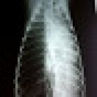 CLINICA INTEGRAL VETERINARIA UNAM