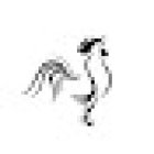 Farmacia Veterinaria 