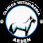 Clínica Veterinaria Arsen