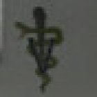 Veterinaria Salud Animal (piolín)