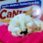 Centro Médico Veterinario Canino