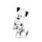 Consultorio Veterinario DAED