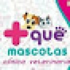 más que mascotas