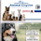 Veterinarian Animal Hospital CityVet