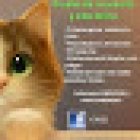 Clínica Integral Veterinaria Santa Lucía