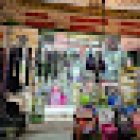 Las Mascotas Del Panda