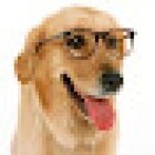 Veterinario Horacio Quiñones