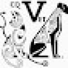 CQVET Centro Quirúrgico Veterinario