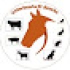 Farmacia y Clínica Veterinaria 