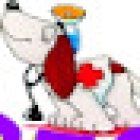 Luceca's Veterinaria