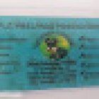 Veterinaria Schnauzer