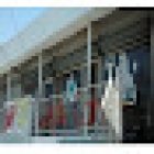 Dogs Veterinary Care