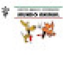 Centro Médico Veterinario Mundo Animal